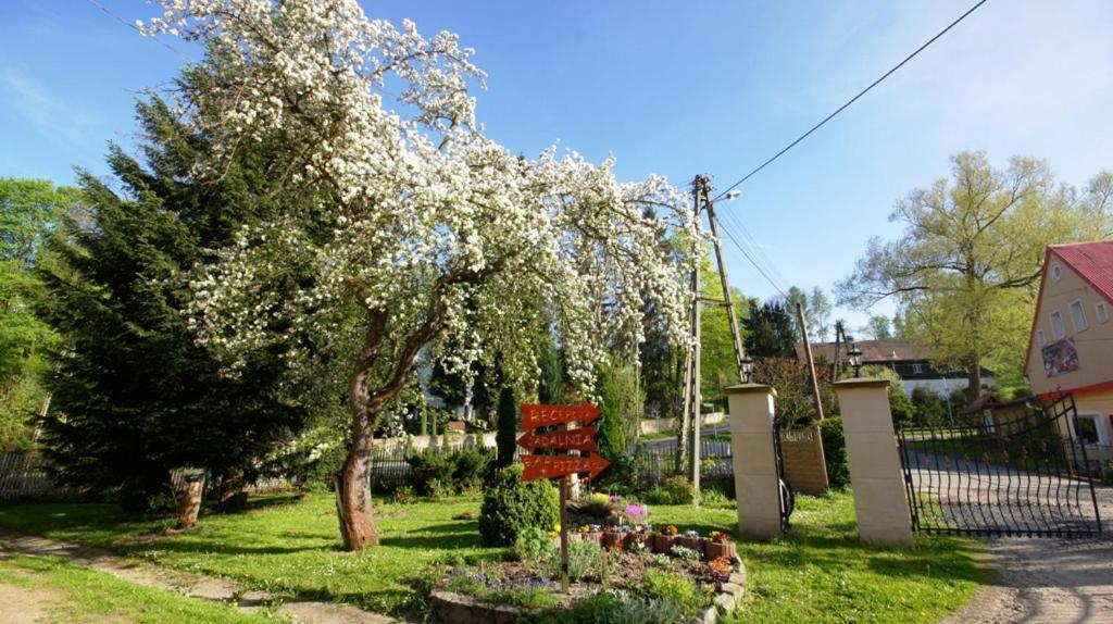 Gosciniec Jas -Sniadania I Obiadokolacje Szwedzki Stol W Cenie Bezplatny Parking ชกลาร์สกา ปอเรมบา ภายนอก รูปภาพ